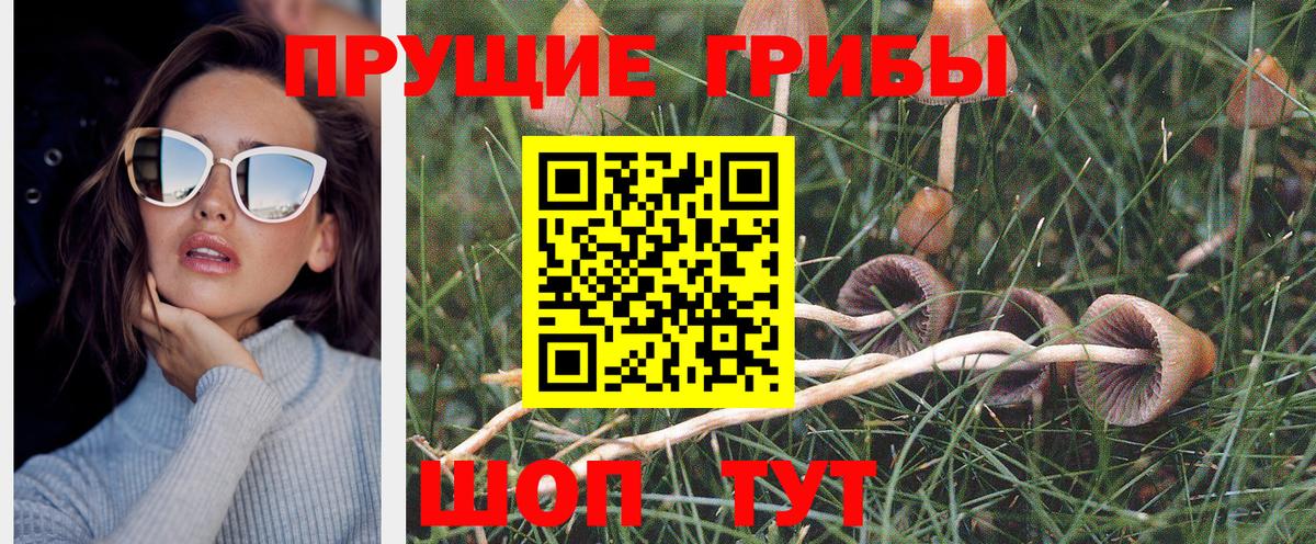 Рославль  Галлюциногенные грибы мицелий  Вход с VPN 